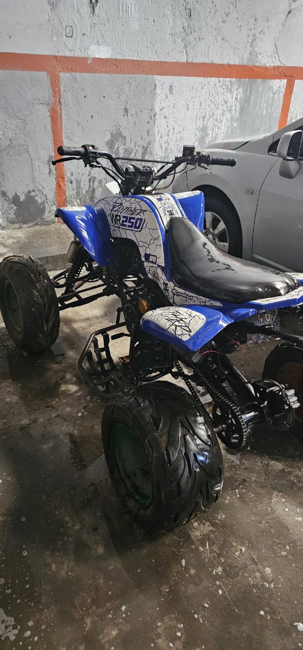 Detalle motor Panther 250cc