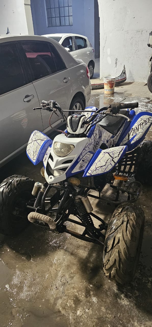 Virtus Comfortline 2024